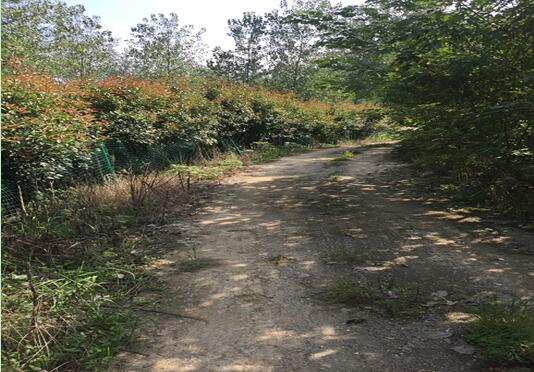 ���Ϸ���վ���¼��g�a�I�_�l�^**������e���޹�˾�����ټ��w�����ϵķ��ݡ���ľ����������Y�a�Ј��rֵ�u�����Ŀ����